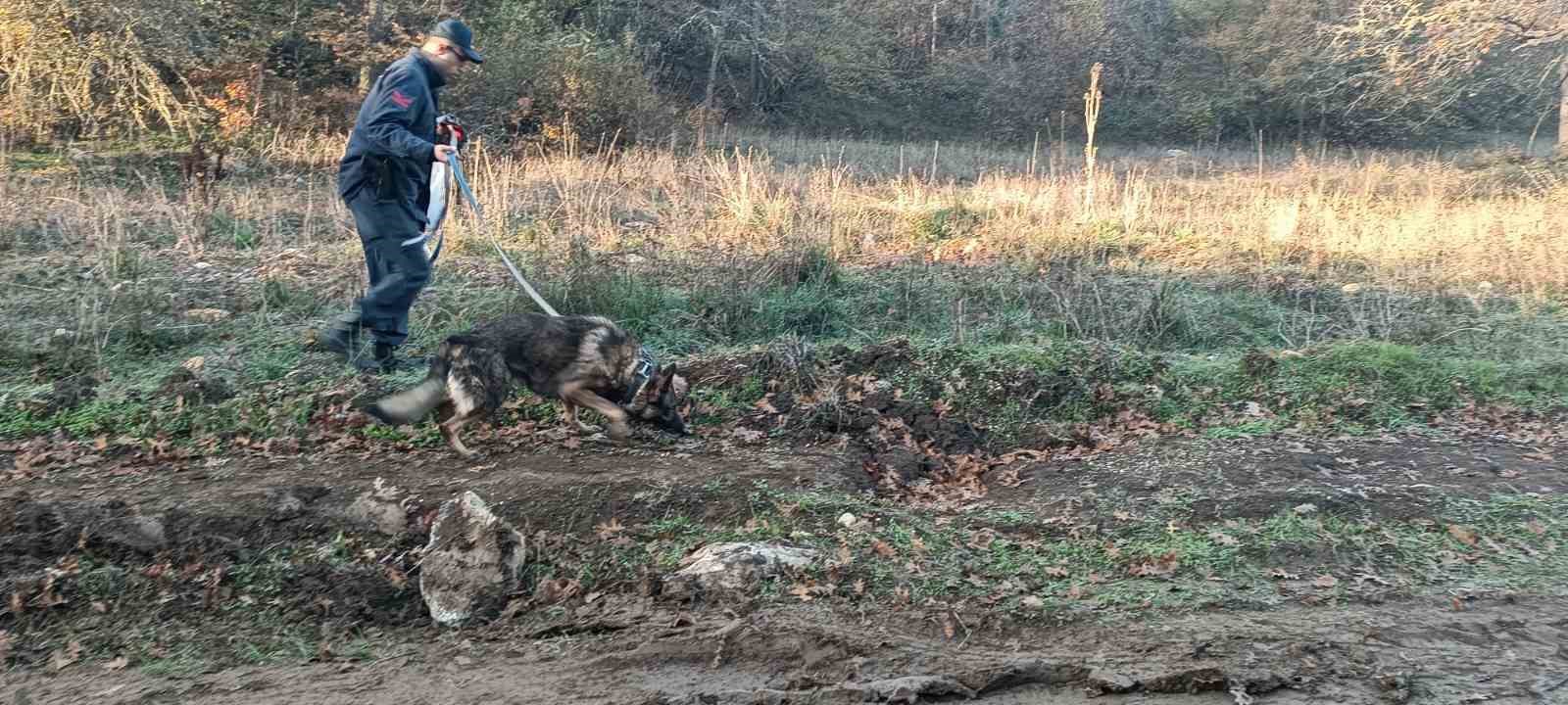 Mantar toplamak için gittiği ormanlık alanda kaybolan adamı 96 kişilik ekip arıyor