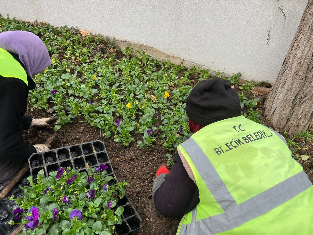 BİLECİK BELEDİYESİ’NDEN PEYZAJ DÜZENLEMELERİ