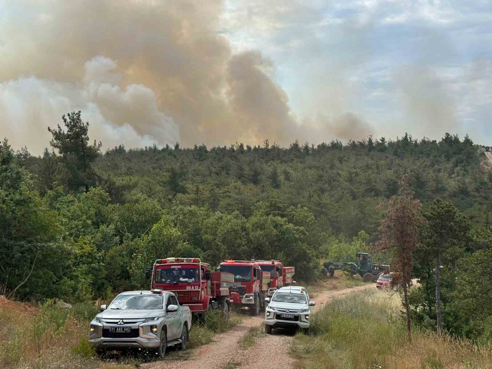 Bilecik’te orman yangını başladı