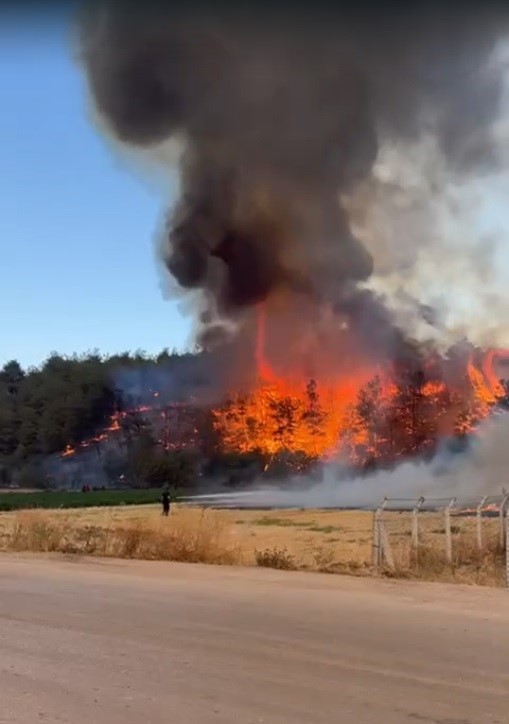 Medetli köyünde orman yangını başladı