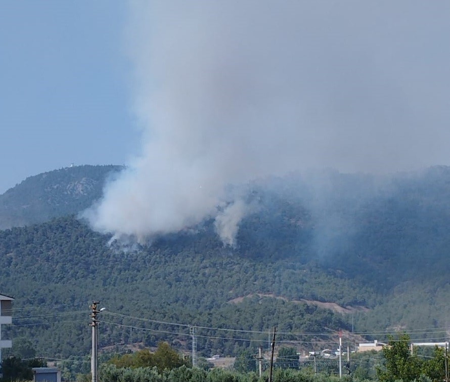 Bilecik’teki orman yangınında alevler Borcak köyüne doğru ilerliyor