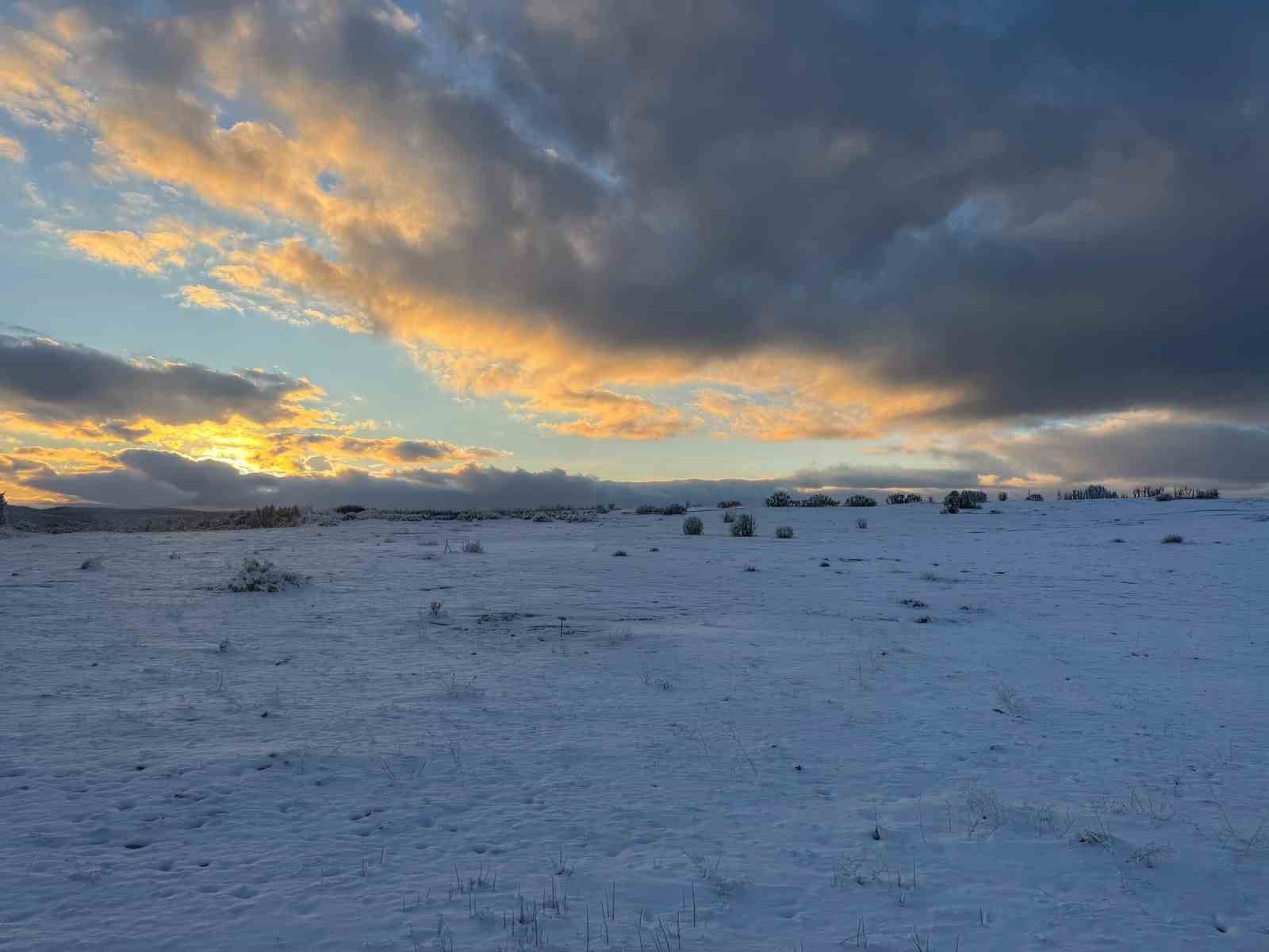 Çimsa, şehitlik için 80 yıllık rezervden feragat ediyor