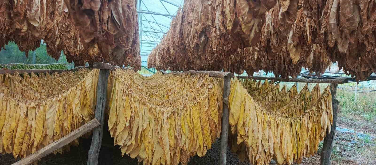 Bilecik’te tütün ve ipekböceği için ilk adım atıldı